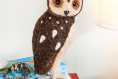 27-barnowl-sm-GLAM-1